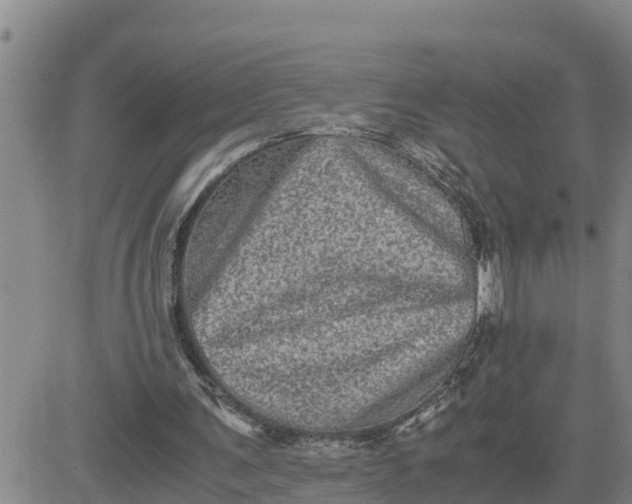 X0000080680291200612301431