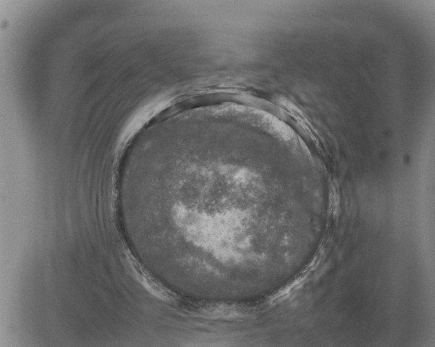 X0000080680293200612301431