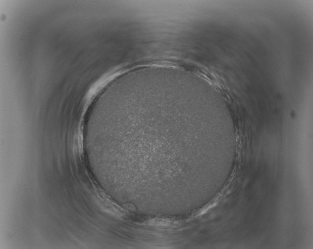 X0000080680294200612301431