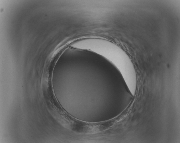 X0000080680295200612301431