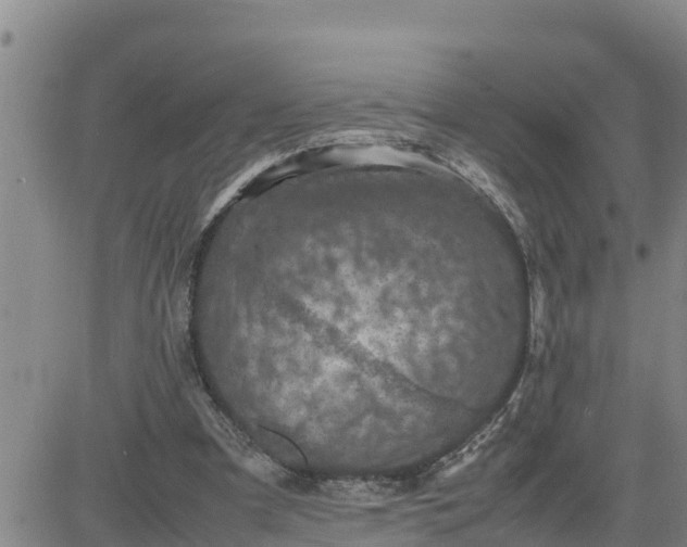 X0000080680297200612301431