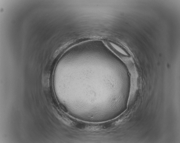 X0000080680299200612301431