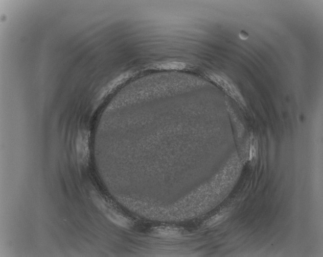 X0000080680300200612301431