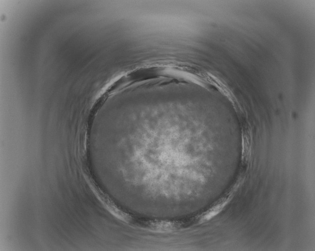 X0000080680301200612301431