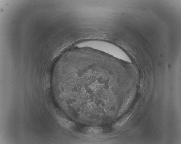 X0000080680303200612301431