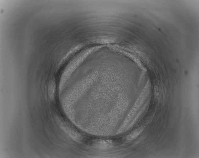 X0000080680304200612301431