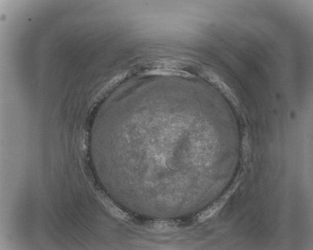 X0000080680305200612301431