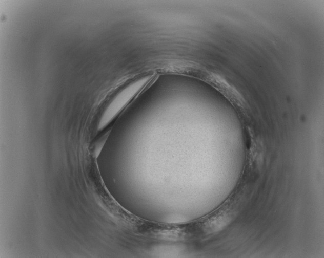 X0000080680306200612301431