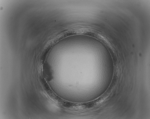 X0000080680307200612301431