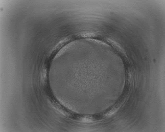 X0000080680308200612301431