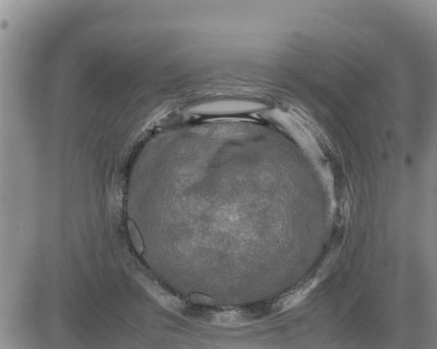 X0000080680309200612301431