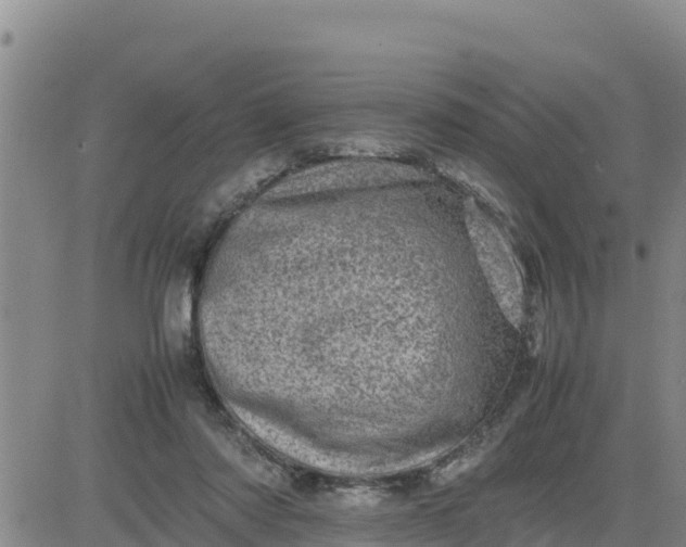 X0000080680310200612301431