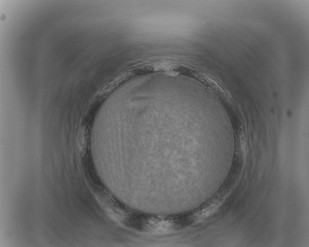 X0000080680311200612301431