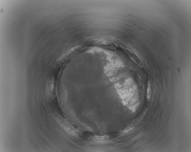 X0000080680314200612301431