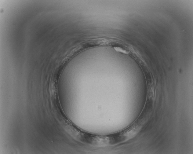 X0000080680317200612301431