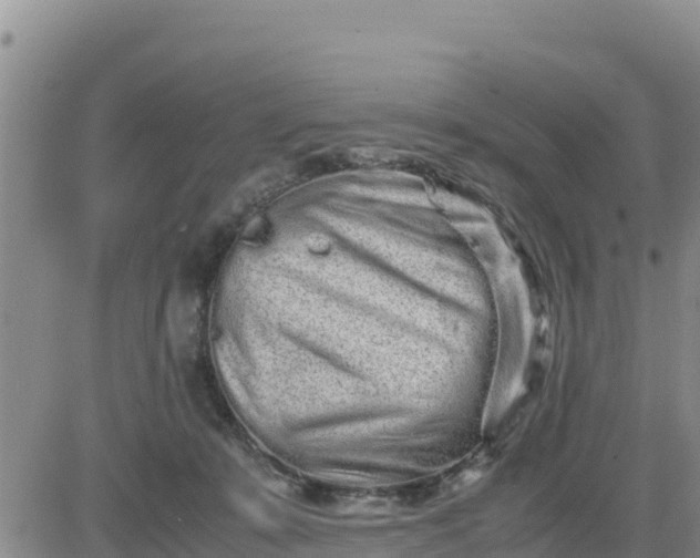 X0000080680319200612301431