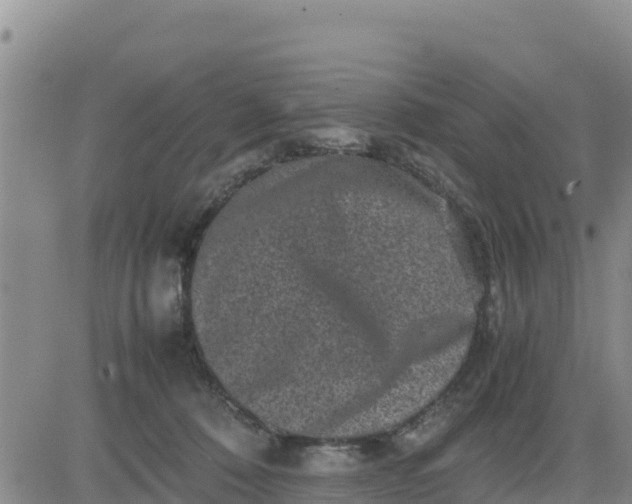 X0000080680320200612301431