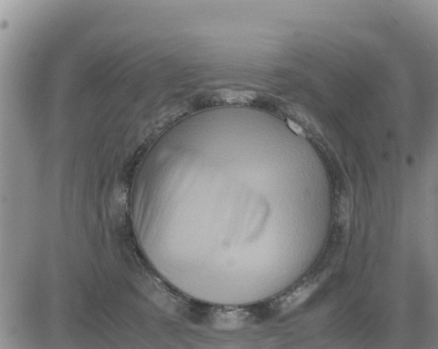 X0000080680321200612301431