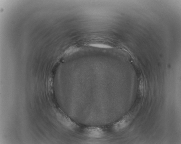 X0000080680322200612301431