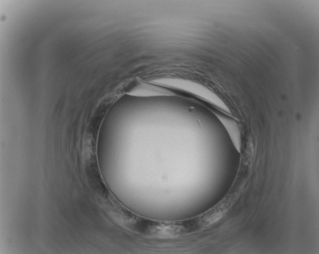 X0000080680323200612301431