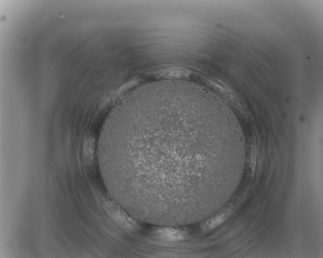 X0000080680326200612301431