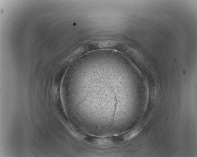 X0000080680327200612301431