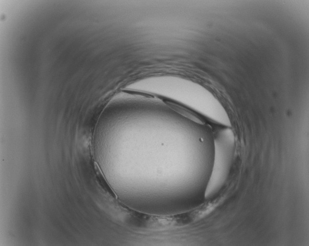 X0000080680329200612301431