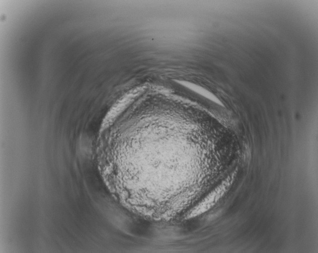 X0000080680331200612301431