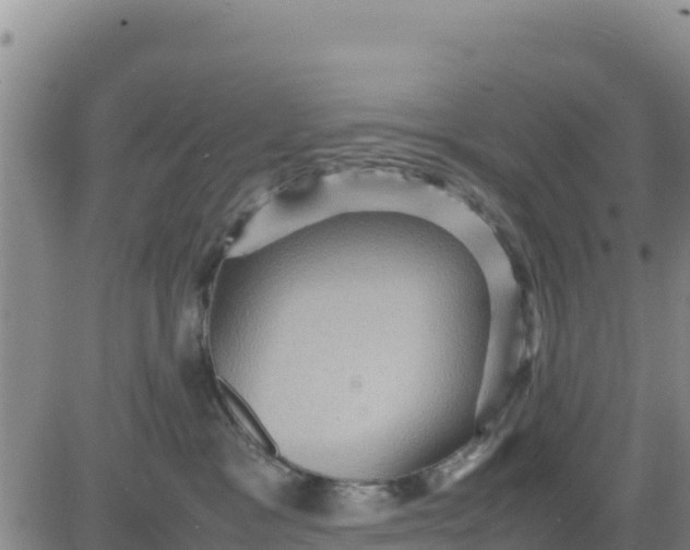 X0000080680333200612301431