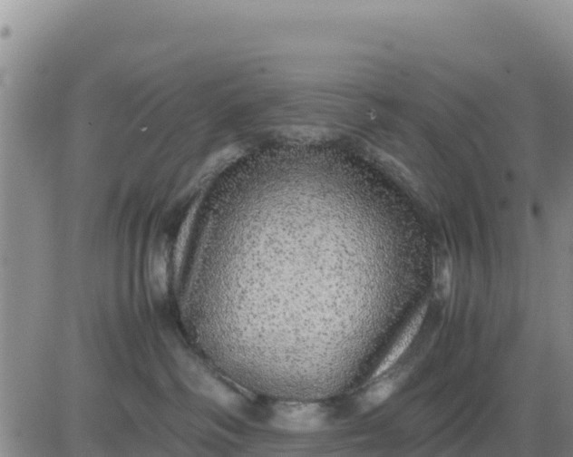 X0000080680334200612301431