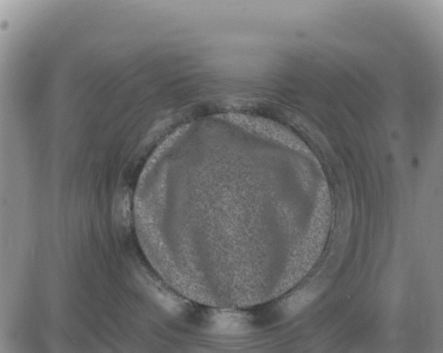 X0000080680336200612301431