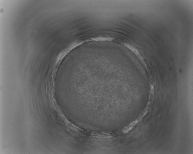 X0000080680337200612301430