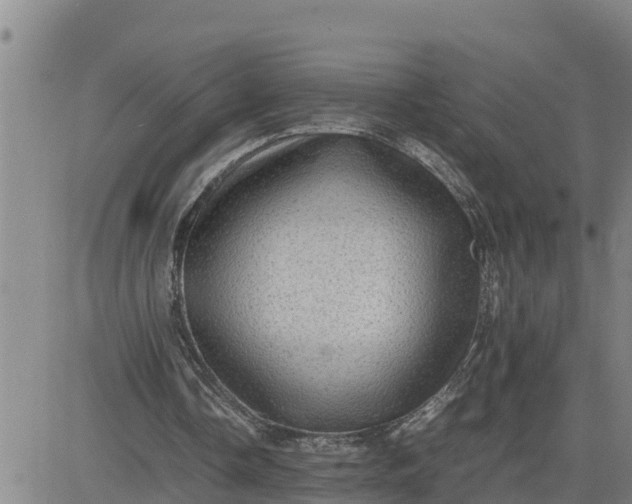 X0000080680338200612301430