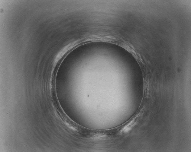 X0000080680340200612301430