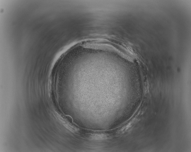 X0000080680342200612301430