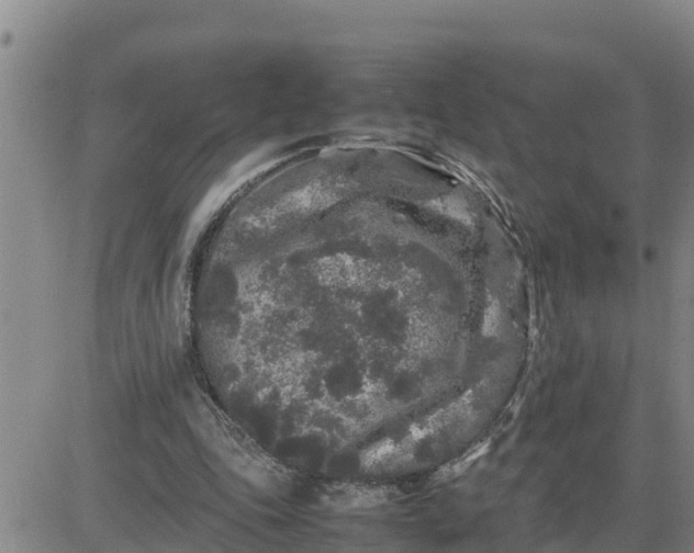 X0000080680343200612301430