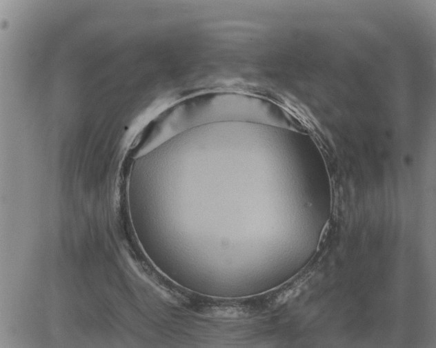 X0000080680344200612301430