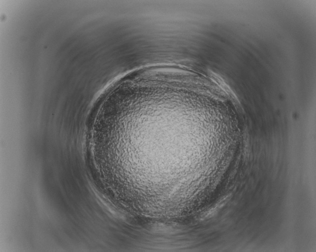 X0000080680346200612301430