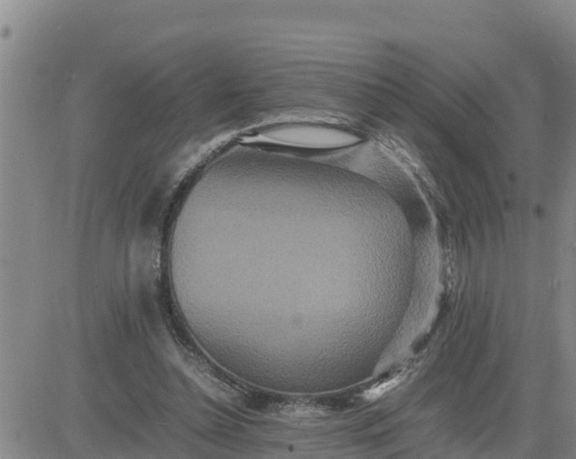 X0000080680348200612301430