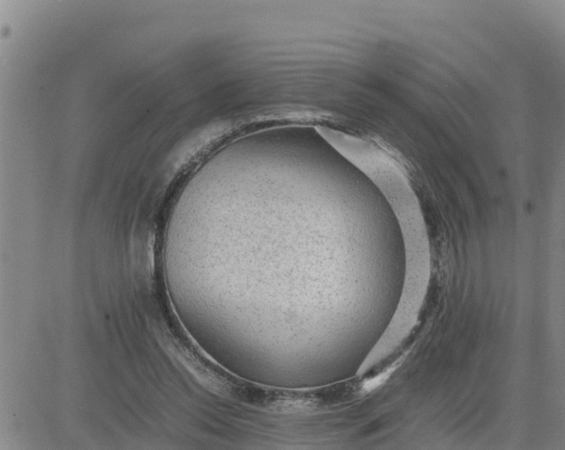 X0000080680350200612301430