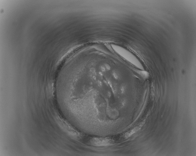 X0000080680351200612301430