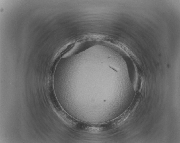 X0000080680352200612301430