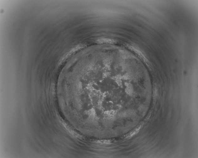 X0000080680353200612301430