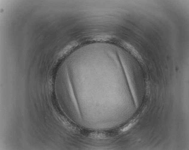 X0000080680354200612301430