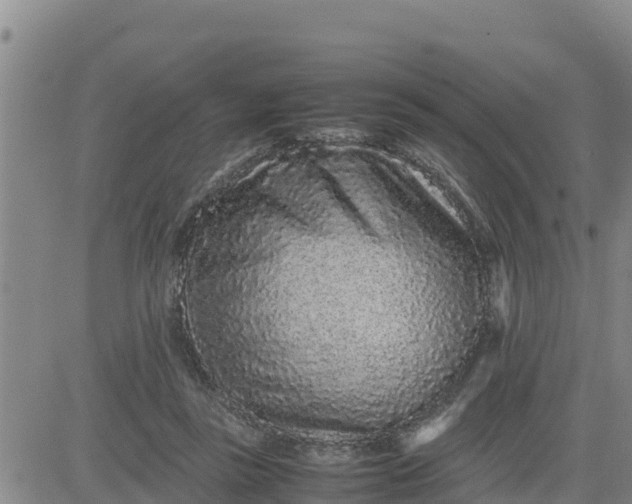 X0000080680355200612301430