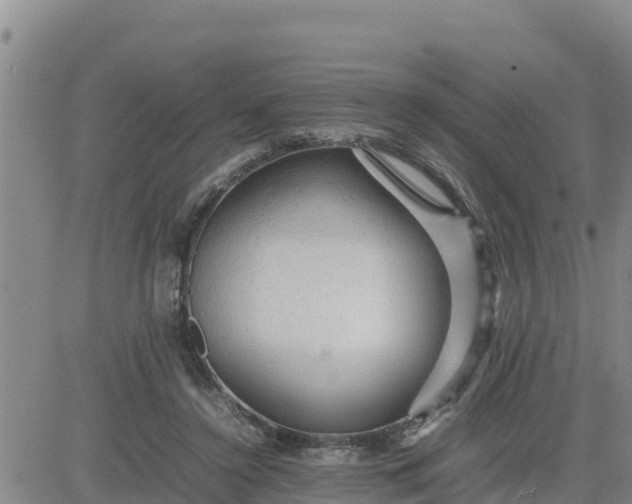 X0000080680356200612301430