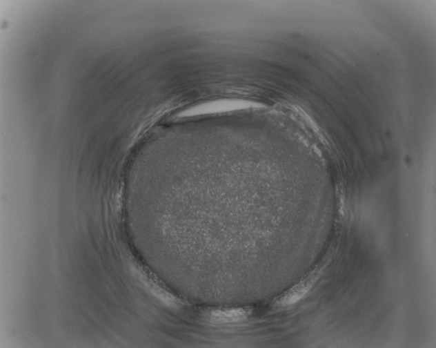 X0000080680357200612301430