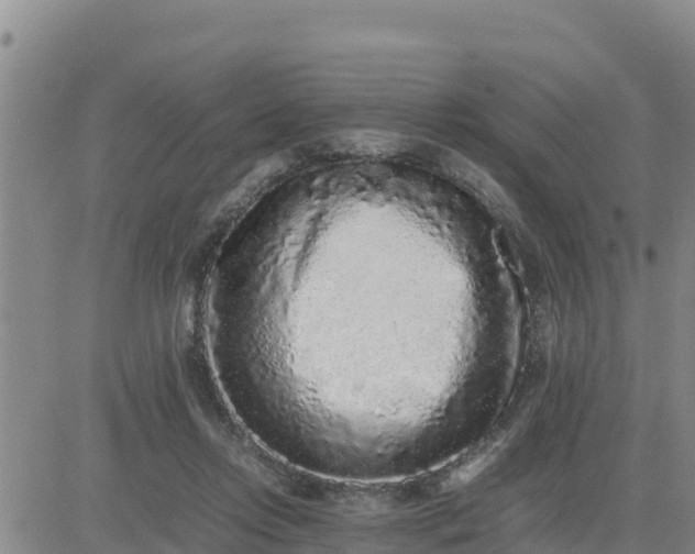 X0000080680358200612301430