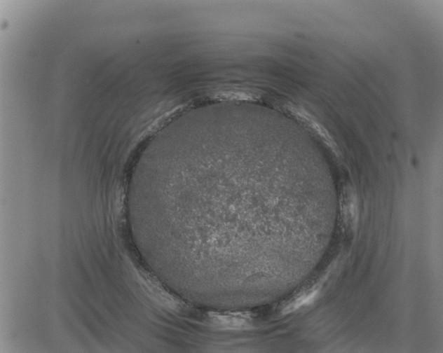 X0000080680359200612301430