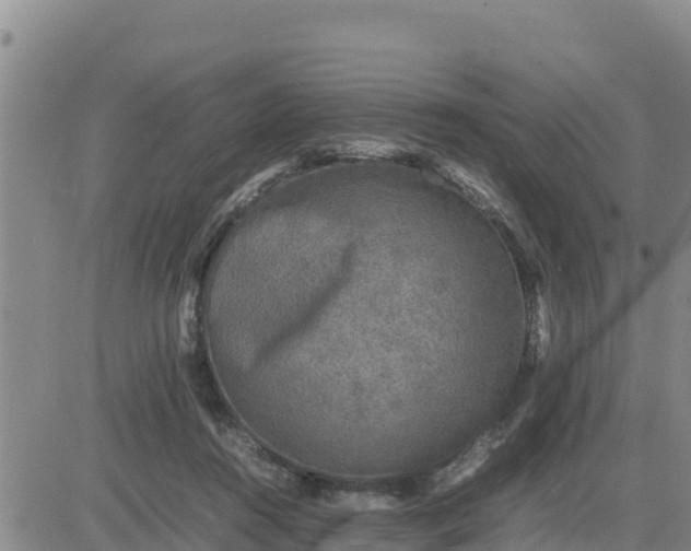 X0000080680360200612301430